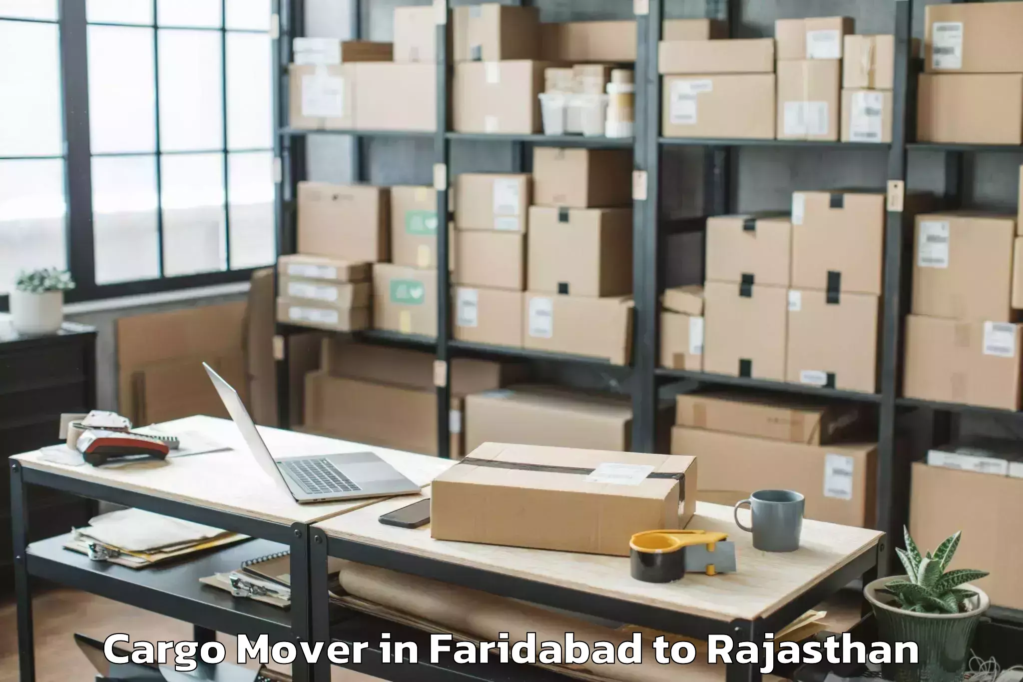 Quality Faridabad to Jhadol Cargo Mover